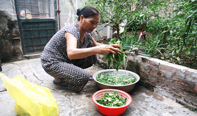 Hà Nội thành lập Trung tâm bảo vệ môi trường nông nghiệp